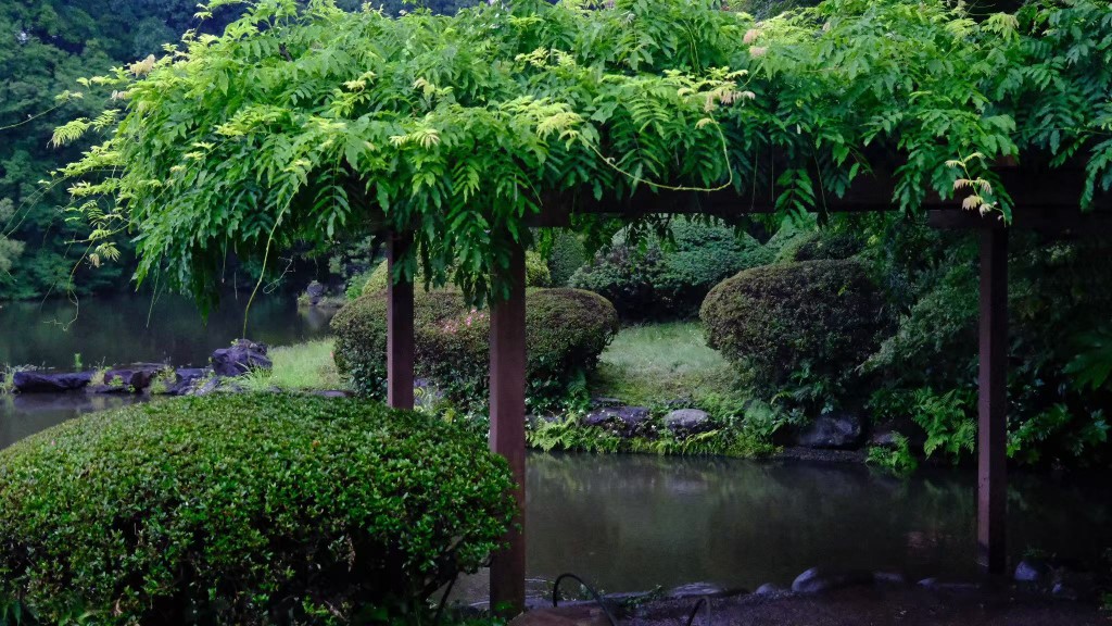 Japanese garden with pergola and pond